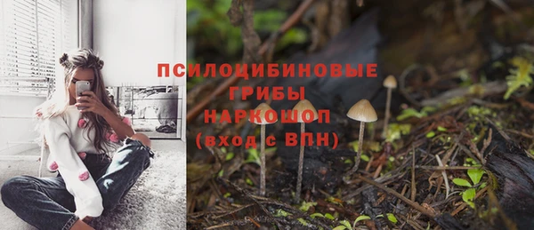 СК Баксан